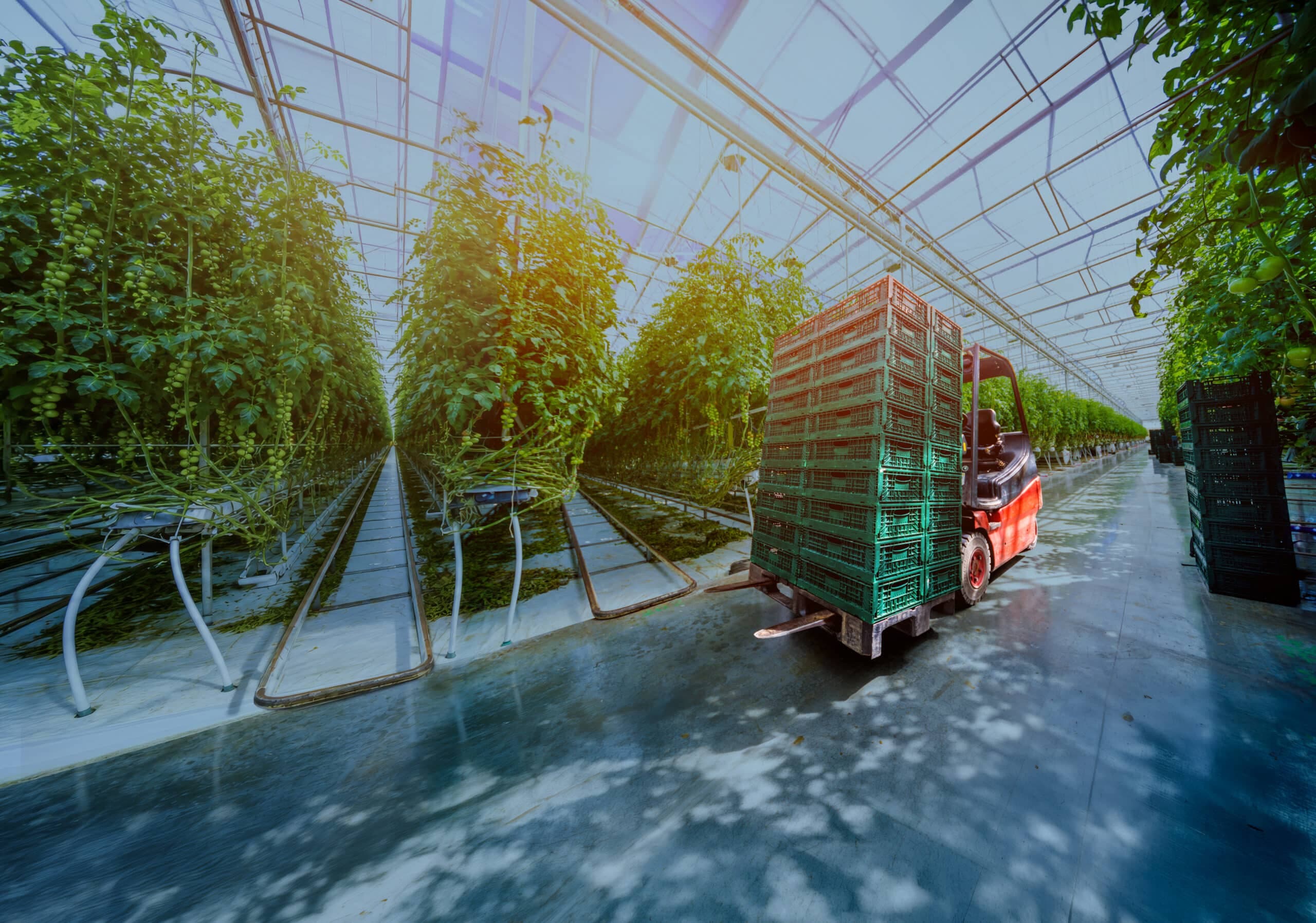 Agricultuur-wereld_Layover_2.0